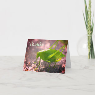 Katydid Grasshopper Nature Thank You Card