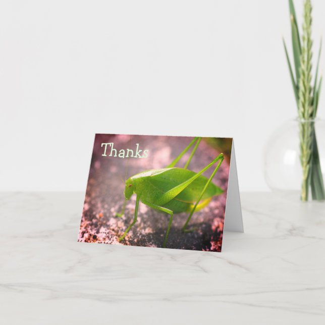 Katydid Grasshopper Nature Thank You Card (Front)