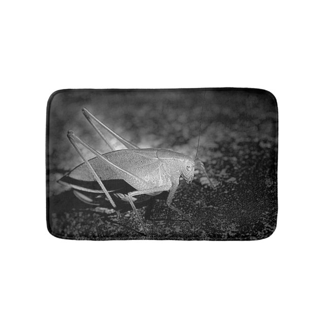 Katydid Insect In Black And White Bath Mat (Front)