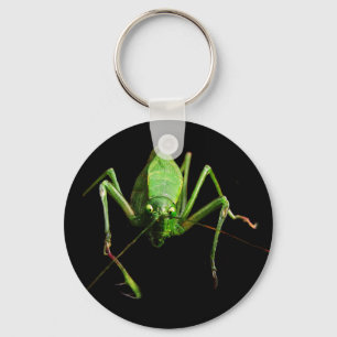 Katydid Key Ring