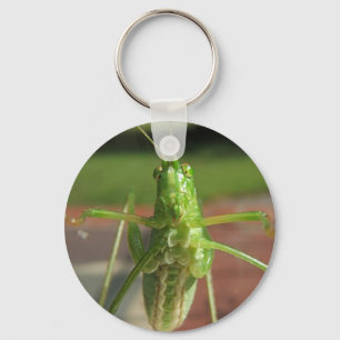 Katydid ~ keychain