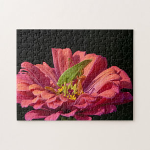 Katydid on Zinnia Jigsaw Puzzle