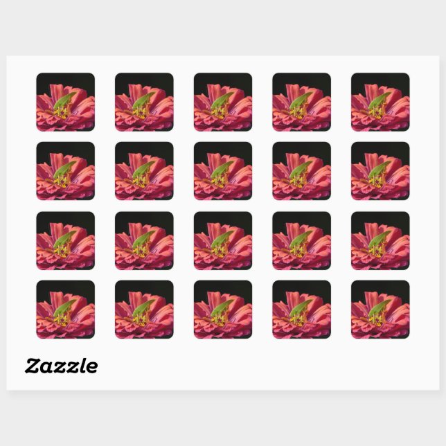 Katydid on Zinnia Square Sticker (Sheet)