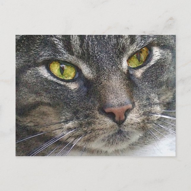 katz3 postcard (Front)