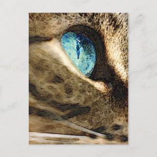 katz4 postcard