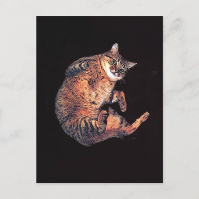katz5 postcard (Front)