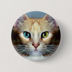 Katz 6 Cm Round Badge