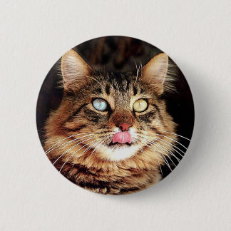 katz 6 cm round badge