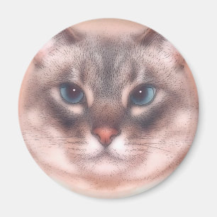 Katz Magnet