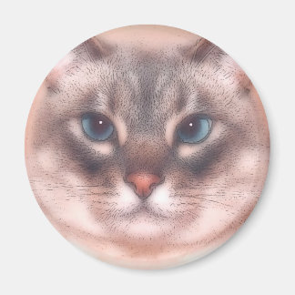 Katz Magnet