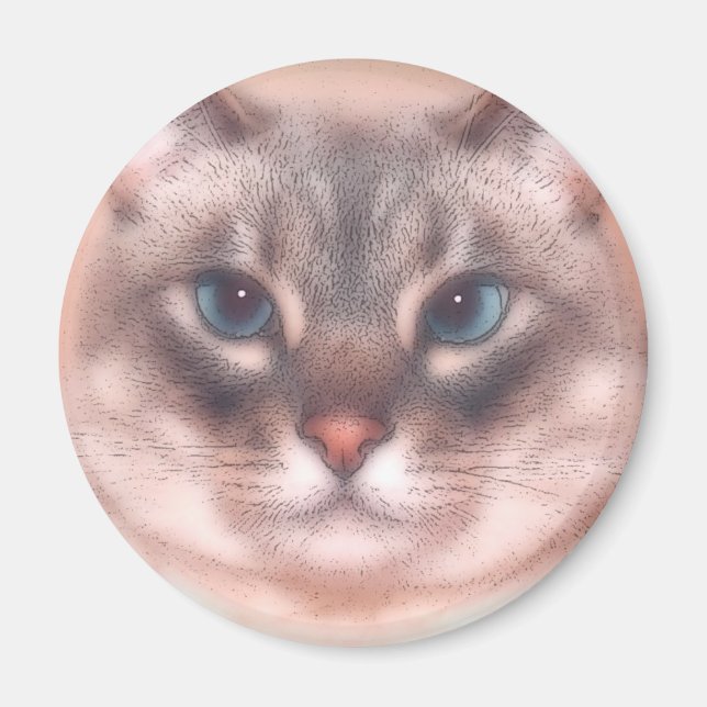 Katz Magnet (Front)