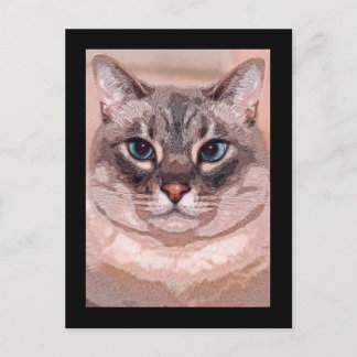 Katz Postcard