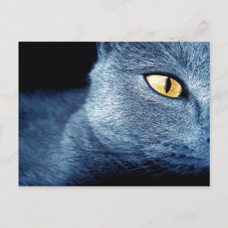 katz postcard