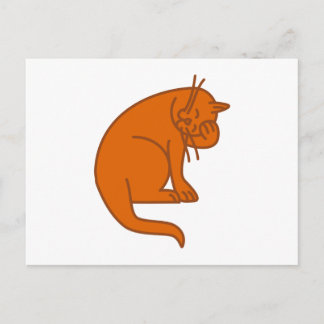 Katze cat postcard