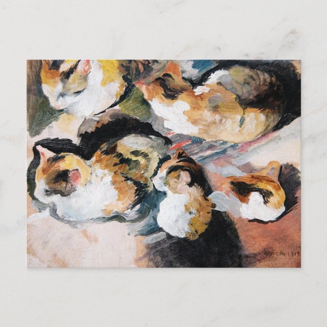 Katzenstudien (Study of a Cat) 1909 Postcard (Front)