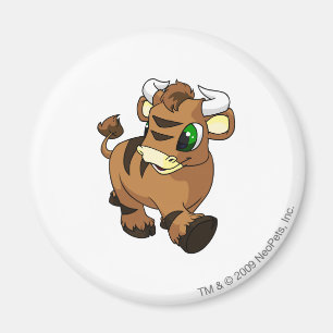 Kau Brown Magnet