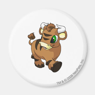 Kau Brown Magnet