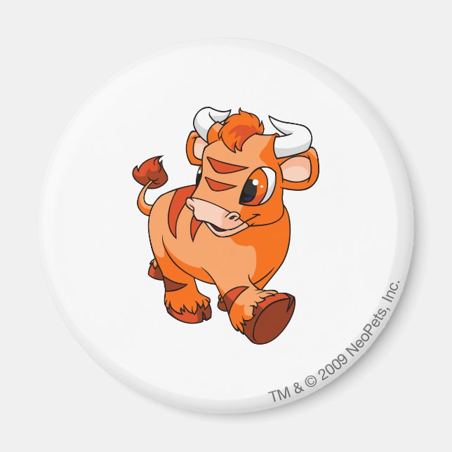 Kau Orange Magnet (Front)
