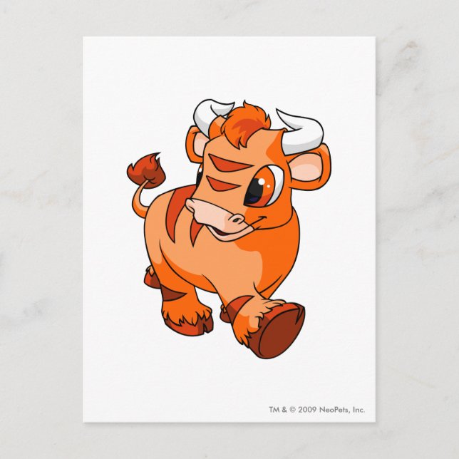 Kau Orange Postcard (Front)