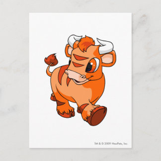 Kau Orange Postcard