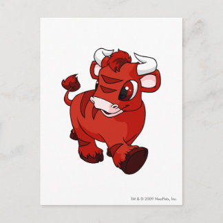 Kau Red Postcard