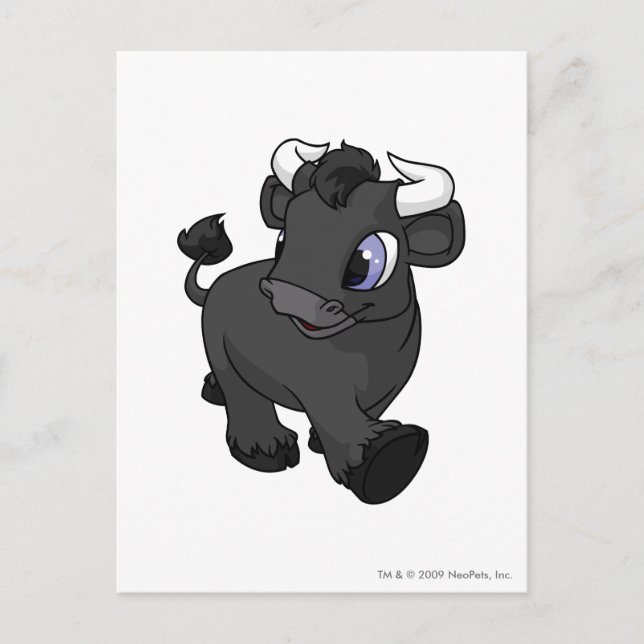 Kau Shadow Postcard (Front)