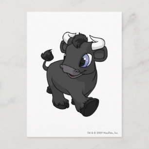 Kau Shadow Postcard