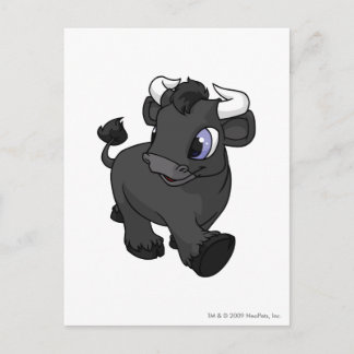 Kau Shadow Postcard