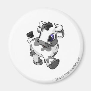 Kau Spotted Magnet