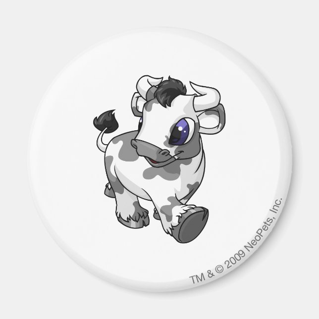 Kau Spotted Magnet (Front)