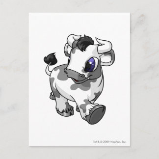Kau Spotted Postcard