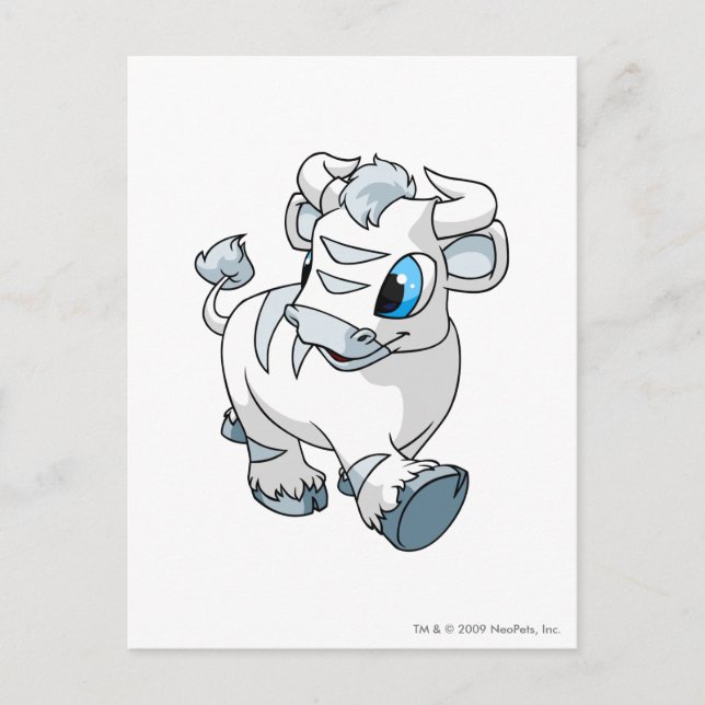 Kau White Postcard (Front)