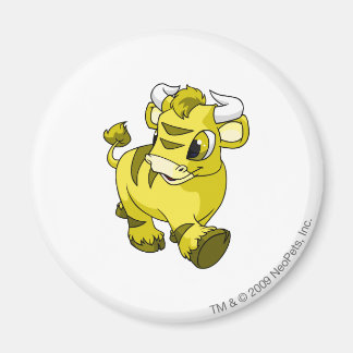 Kau Yellow Magnet