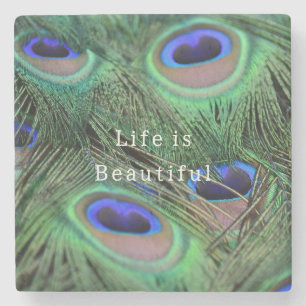 Kauai Bird Peacock Feathers (photo taken by me) Stone Coaster