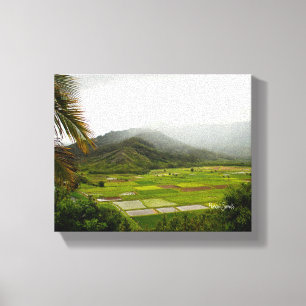 Kauai, Hawaii Lush Fields Landscape Canvas Print