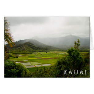 Kauai, Hawaii • Lush Fields • Landscape Scene