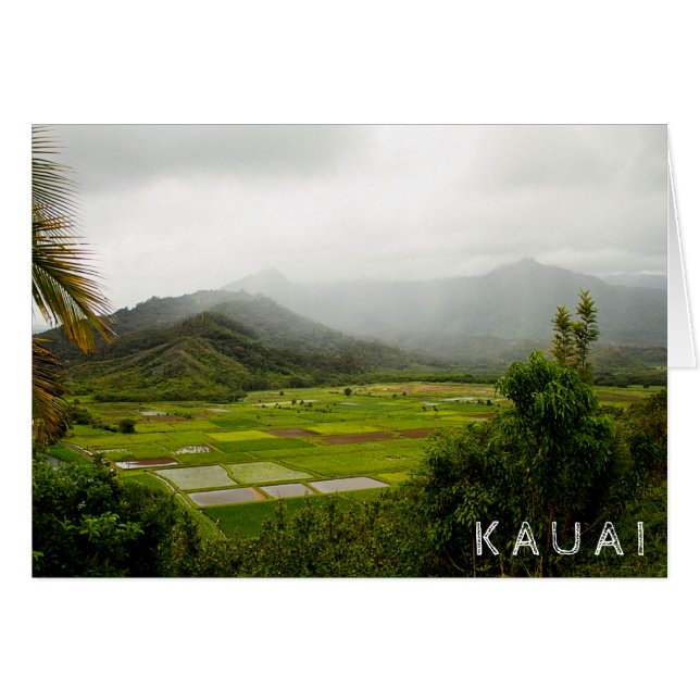 Kauai, Hawaii • Lush Fields • Landscape Scene (Front Horizontal)