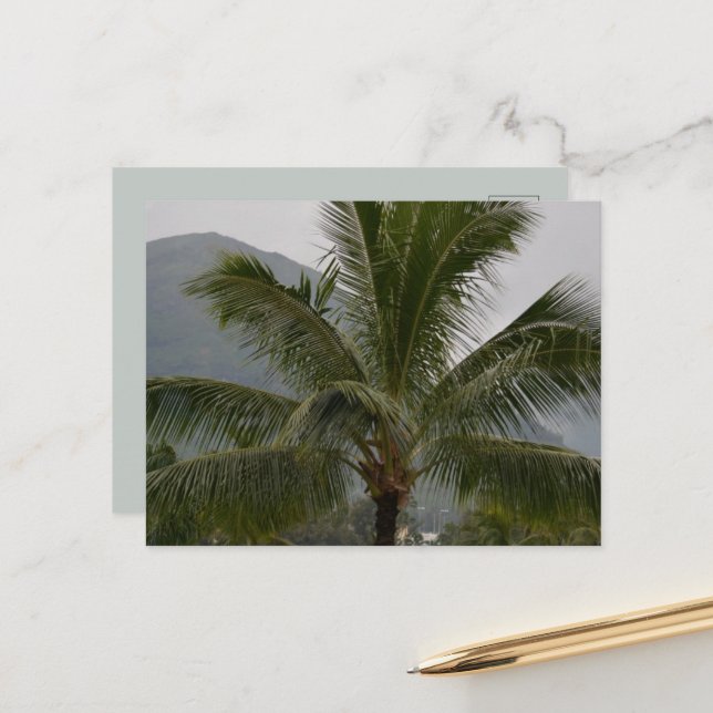 Kauai Hawaii Palm Tree Postcard (Front/Back In Situ)