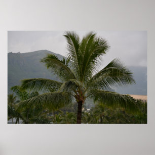 Kauai Hawaii Palm Tree Poster