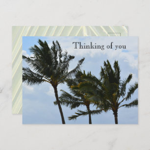 Kauai Hawaii Palm Trees Postcard