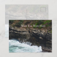 Kauai Hawaii Peacock Feathers