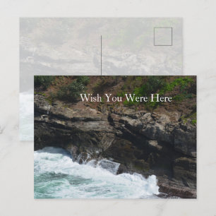 Kauai Hawaii Peacock Feathers Postcard