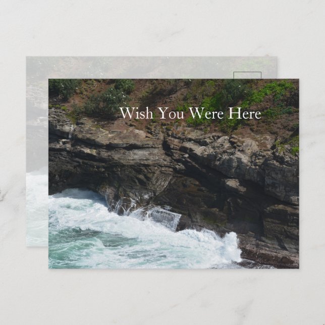 Kauai Hawaii Peacock Feathers Postcard (Front/Back)