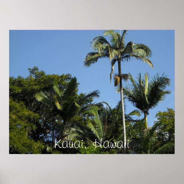 Kauai, Hawaii Poster (Front)