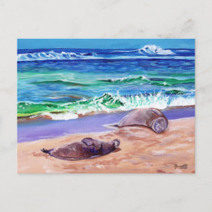 Kauai Hawaiian Monk Seals on Poipu Beach Postcard