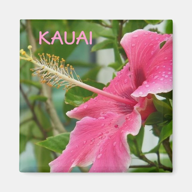 Kauai Hawaiian Tropical Flowers Hibiscus Magnet (Front)