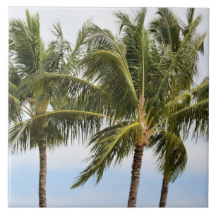 Kauai Palm trees Tile