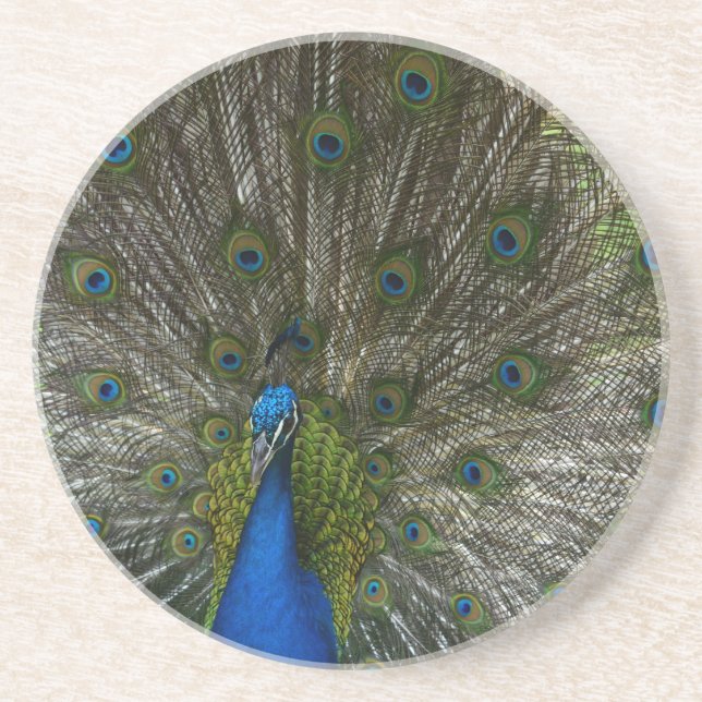 Kauai Peacock Coaster (Front)