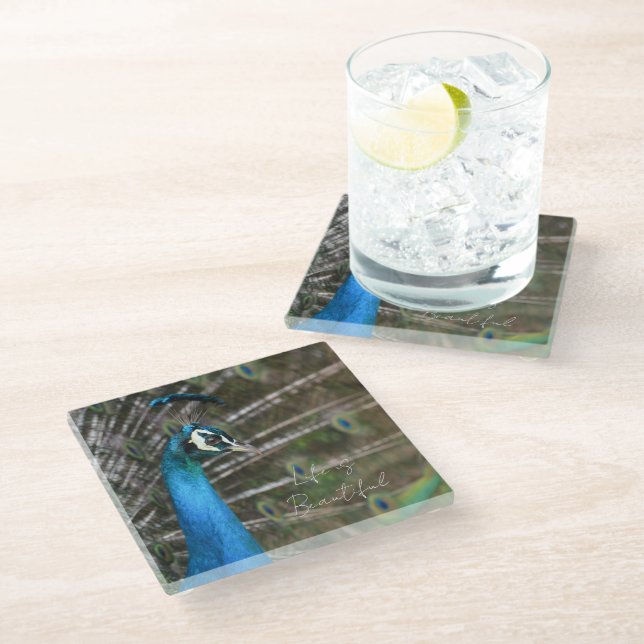 Kauai Peacock  Glass Coaster (Angled)