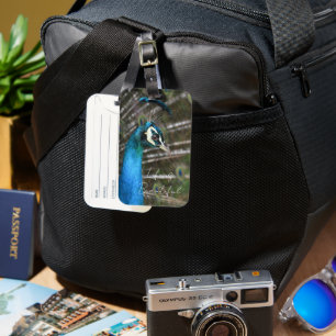 Kauai Peacock  Luggage Tag